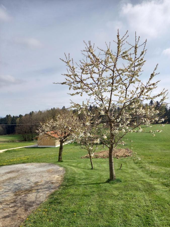 Ferienwohnung Am Dreiseithof Hauzenberg Bagian luar foto