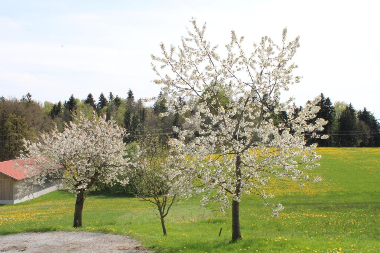 Ferienwohnung Am Dreiseithof Hauzenberg Bagian luar foto